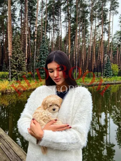 Марго — эскорт Краснодар